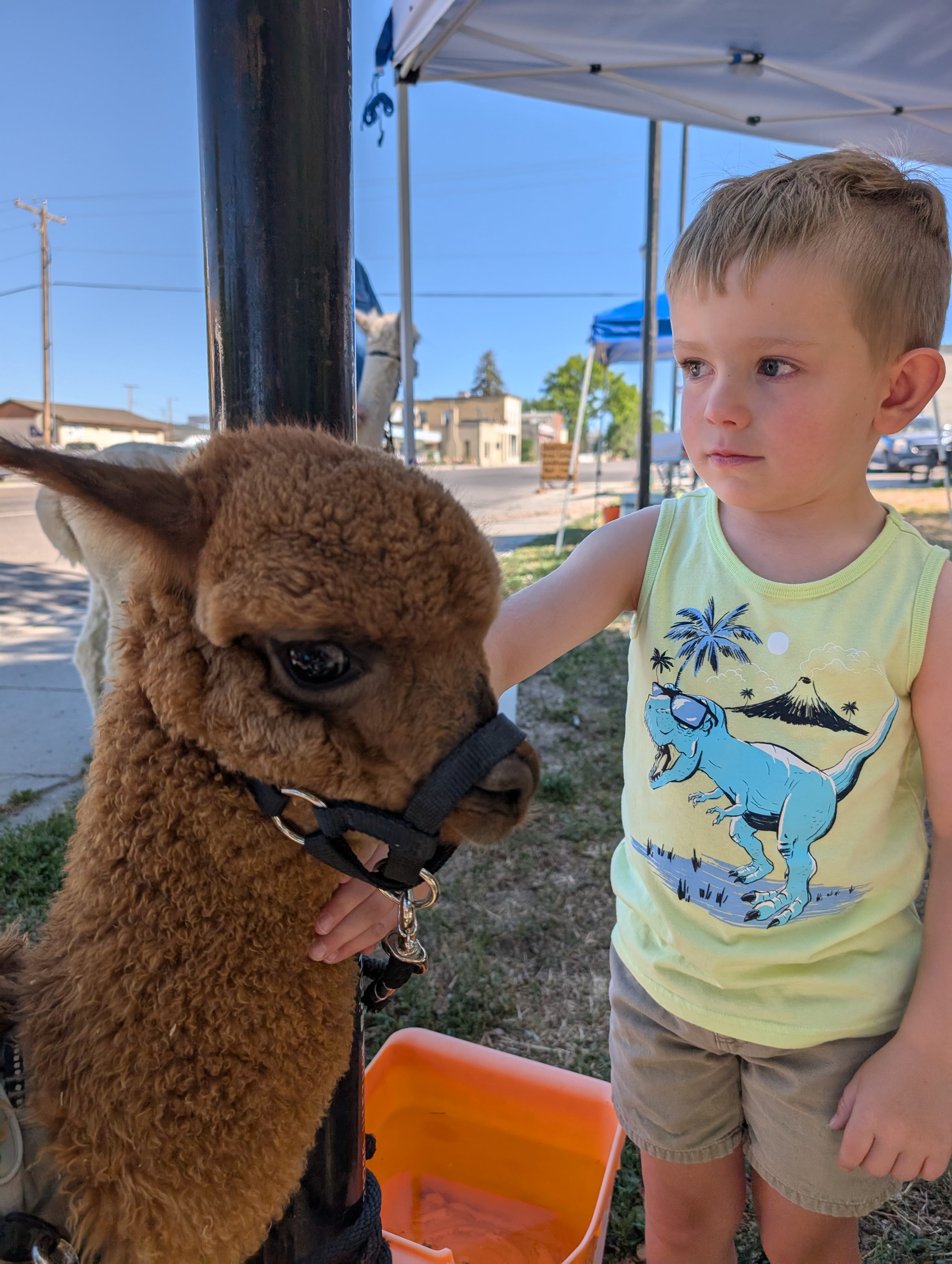 Photo from Fairview Farmers Market